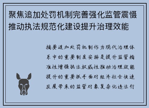 聚焦追加处罚机制完善强化监管震慑推动执法规范化建设提升治理效能